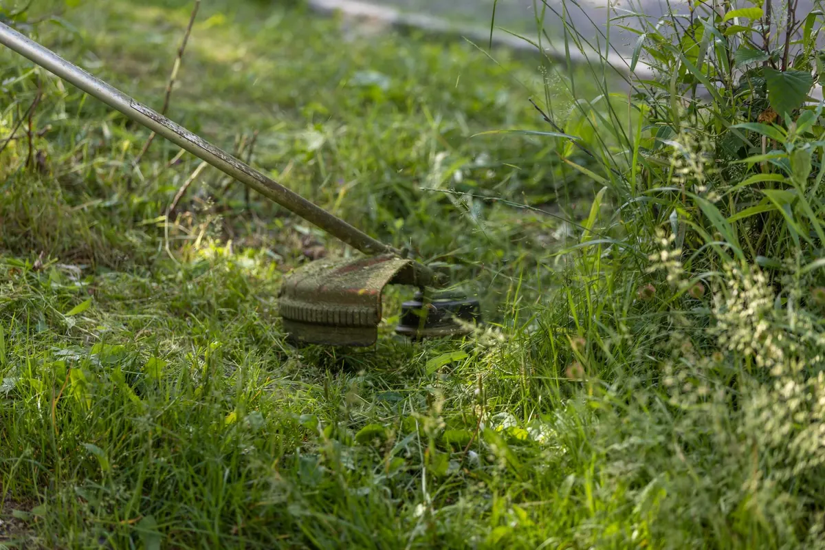 Buying guide: string trimmer